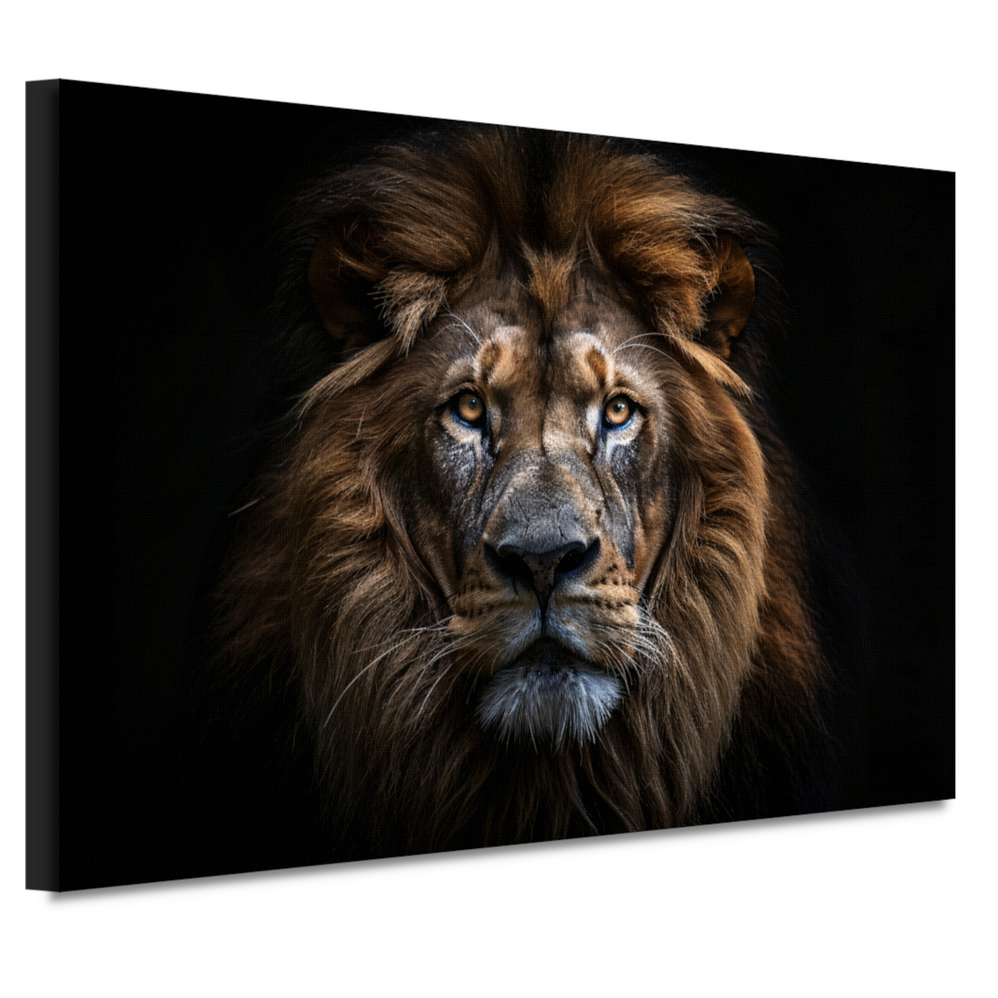 De trotse blik van de koning der dieren canvas