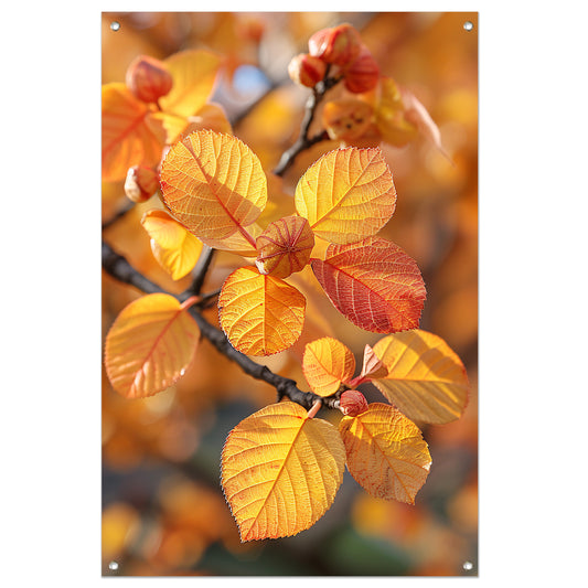 Herfstbladeren in Zonneschijn tuinposter
