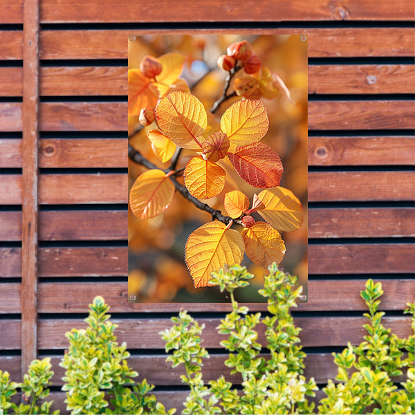 Herfstbladeren in Zonneschijn tuinposter