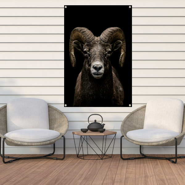 Krachtige close-up van een ram in zwart en wit tuinposter