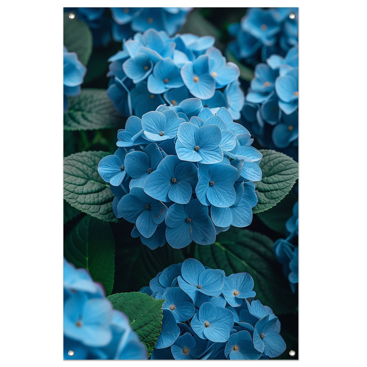 Blauwe bloemen in de tuin tuinposter