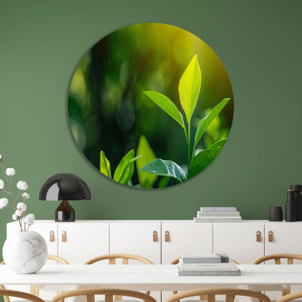 Helder Groen Blad in Zonlicht aluminium muurcirkel