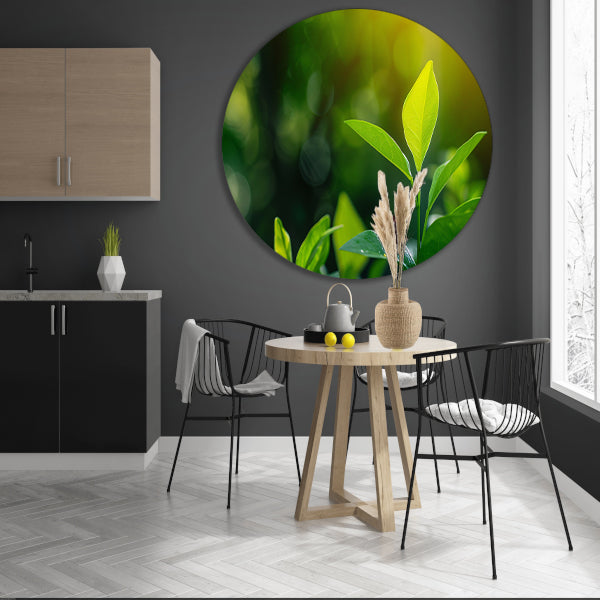 Helder Groen Blad in Zonlicht aluminium muurcirkel