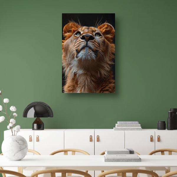 Majestueuze leeuw met intense blik omhoog canvas met baklijst