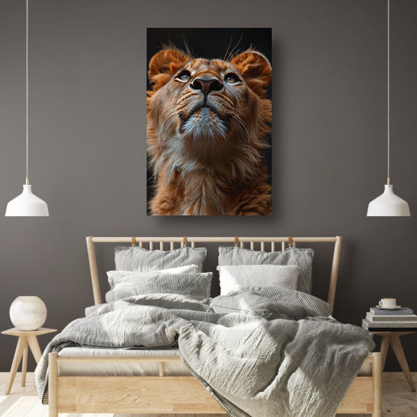 Majestueuze leeuw met intense blik omhoog canvas met baklijst