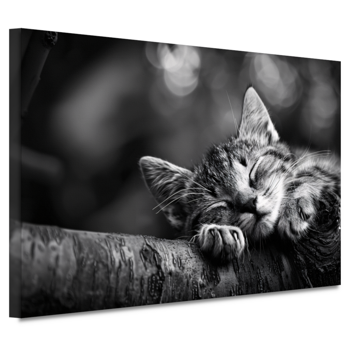 Slapende kitten op boomtak canvas