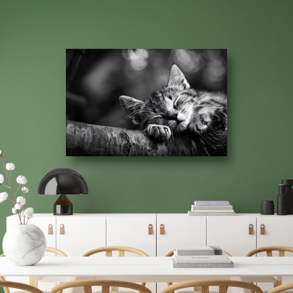 Slapende kitten op boomtak canvas