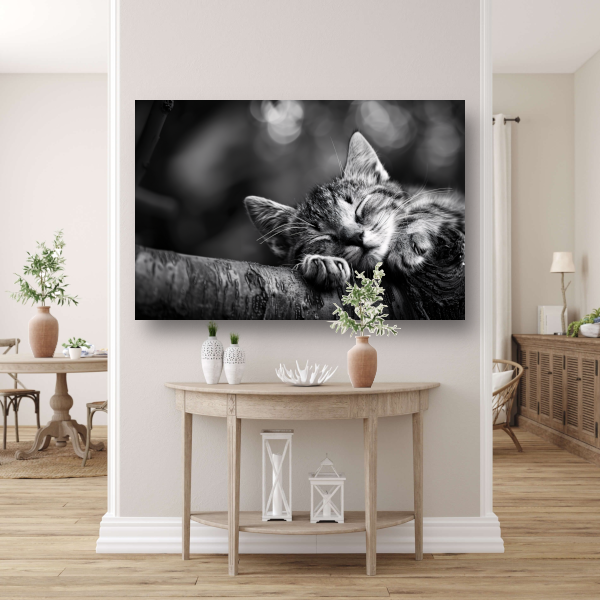 Slapende kitten op boomtak canvas