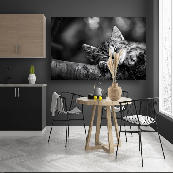 Slapende kitten op boomtak canvas