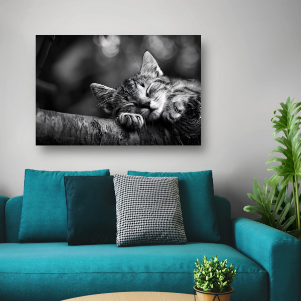 Slapende kitten op boomtak canvas