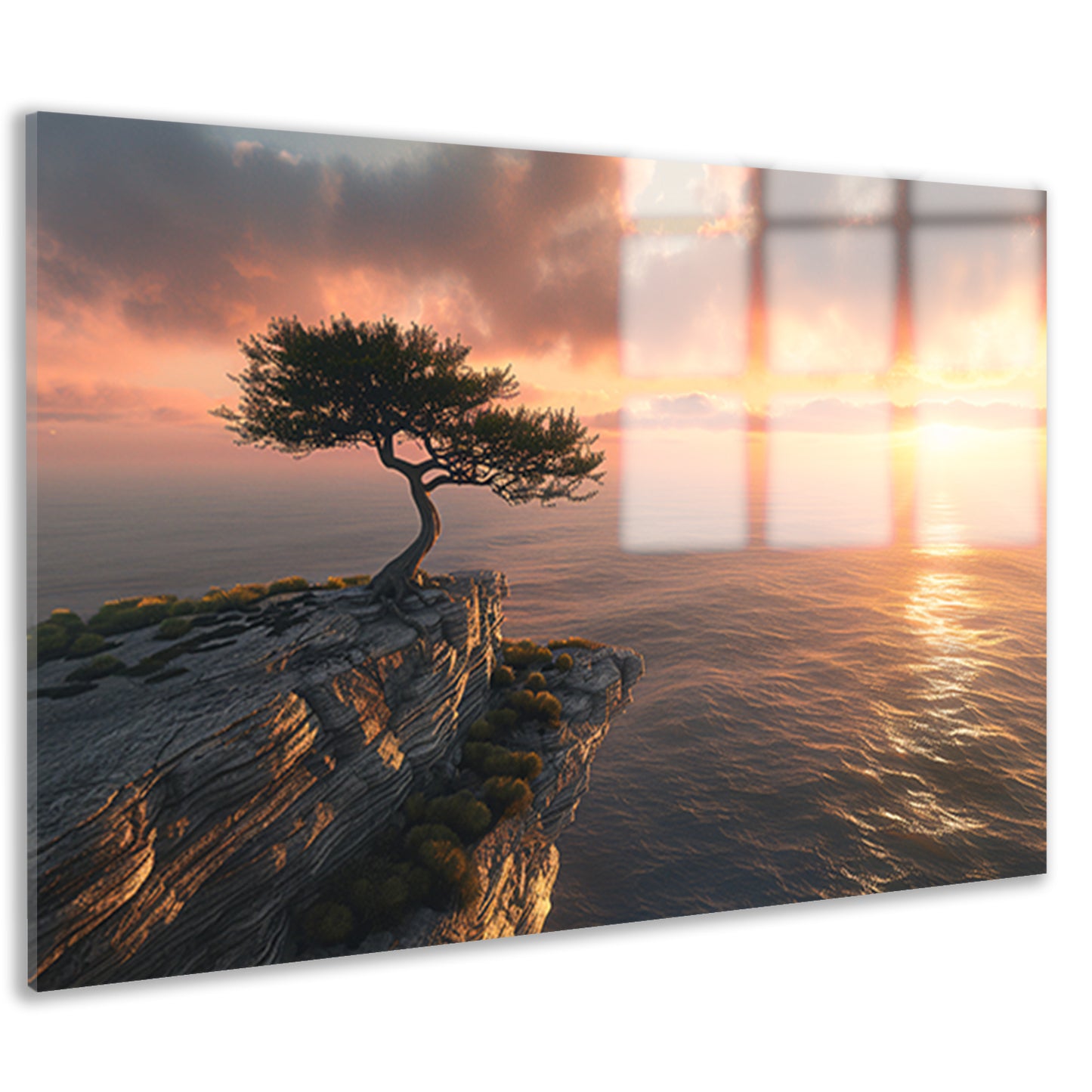 Boom op klif met zonsondergang zee acrylglas