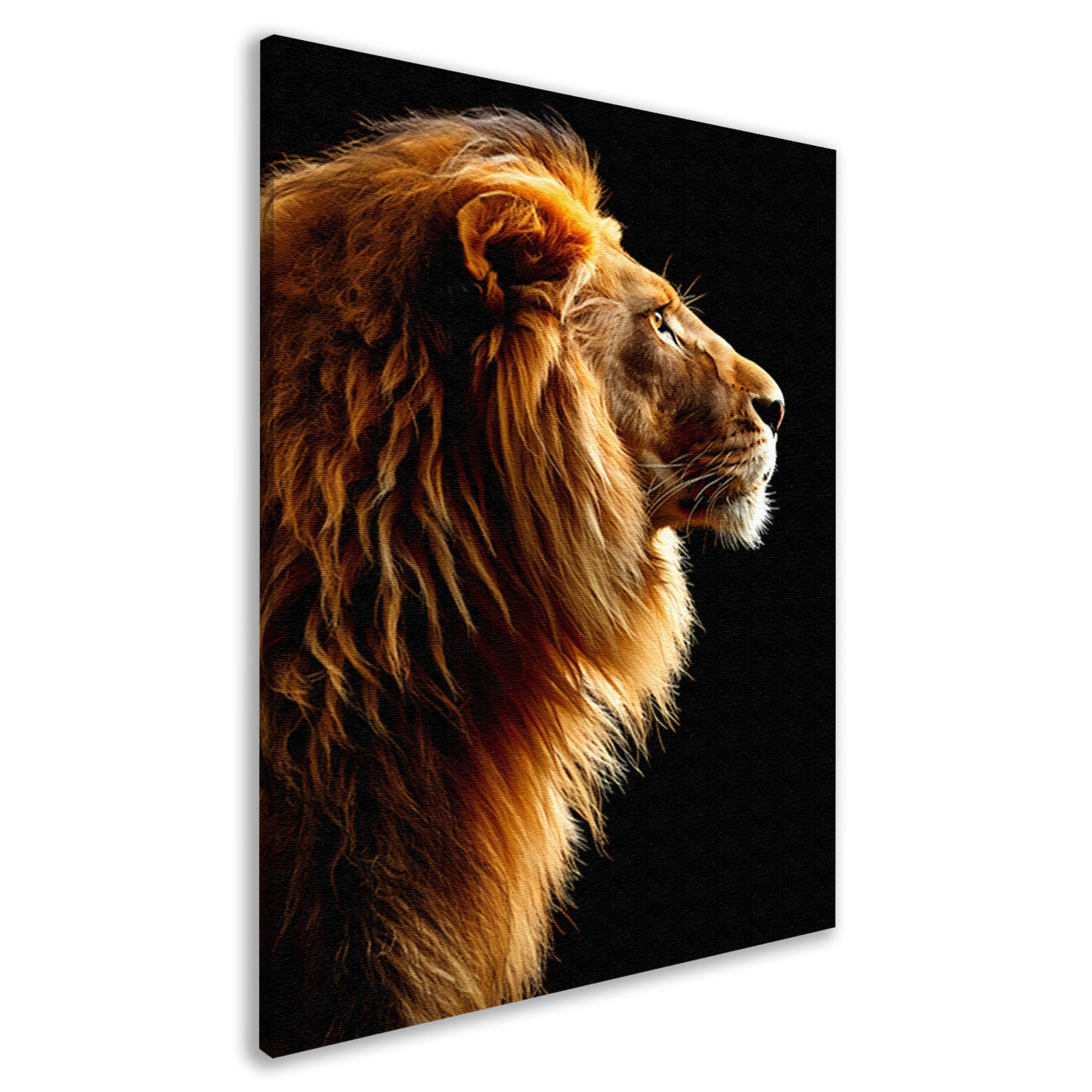 Portret van een trotse leeuw canvas