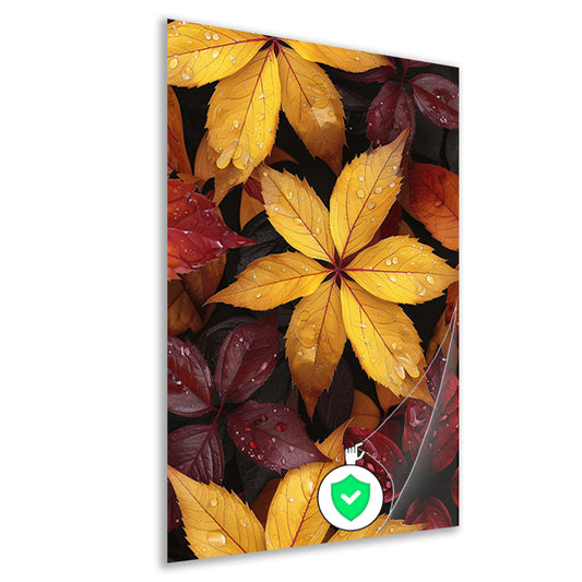 Kleurrijk herfstbladeren met waterdruppels poster