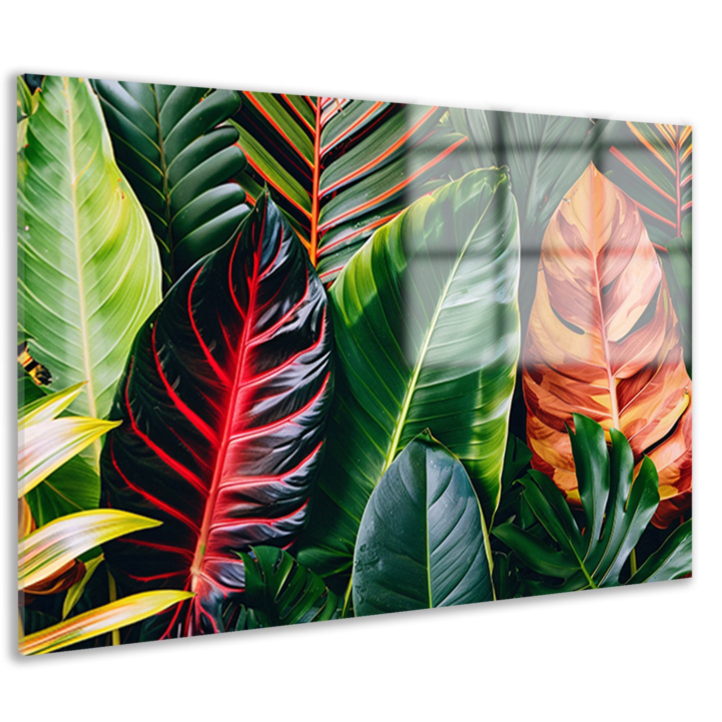 Levendige groene bladeren met kleurrijke accenten acrylglas