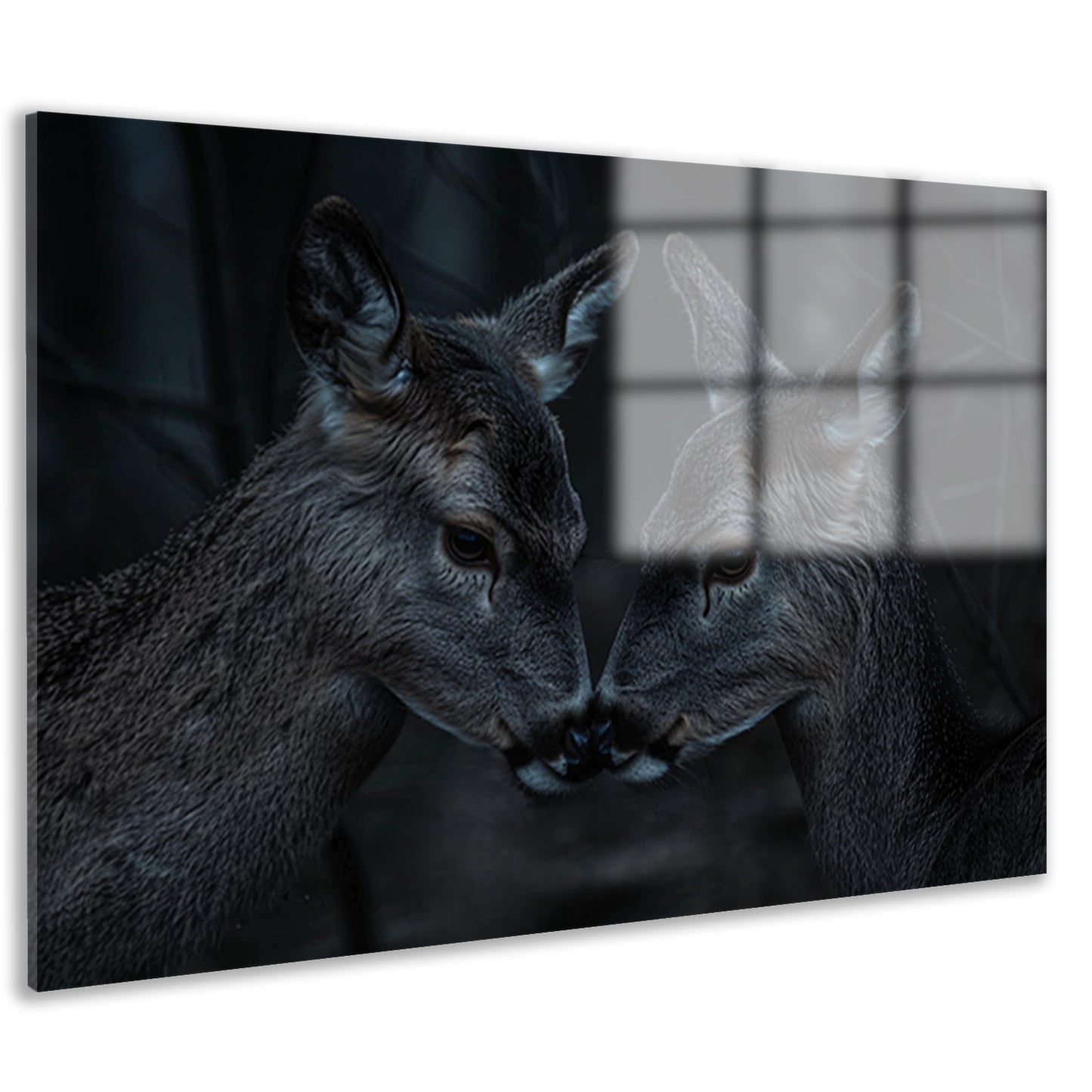 Twee herten in een donker bos acrylglas