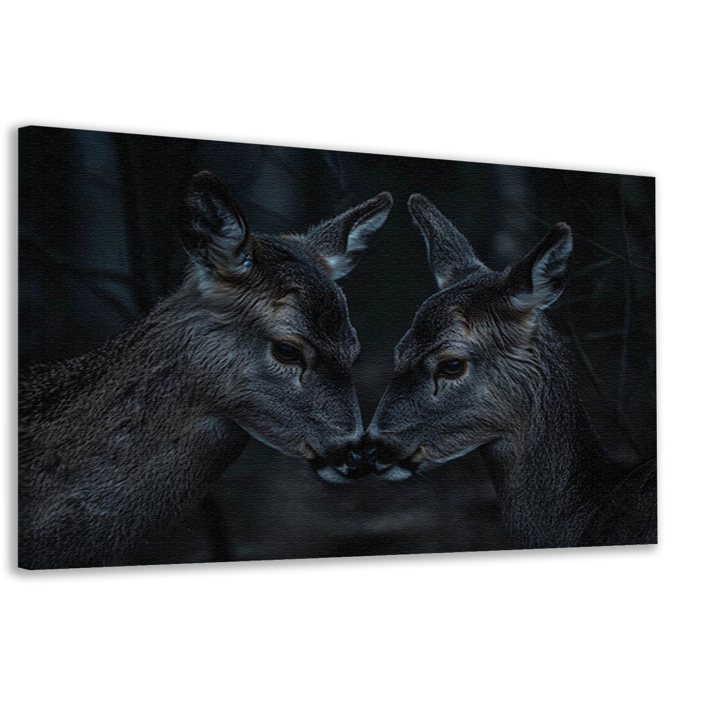 Twee herten in een donker bos canvas