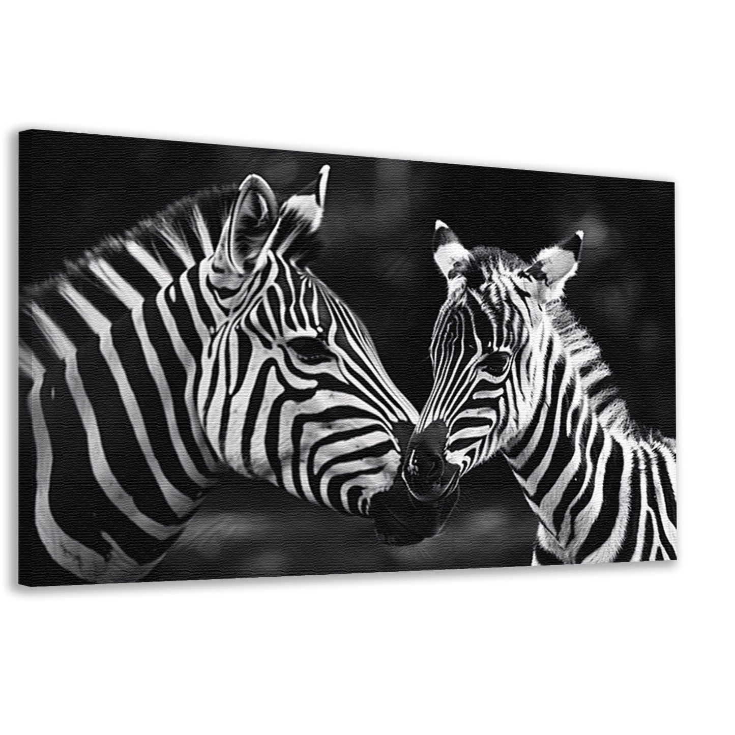 Intieme ontmoeting zebra moeder en jong canvas