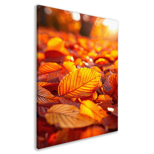 Herfstbladeren in Warm Zonlicht canvas