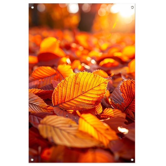 Herfstbladeren in Warm Zonlicht tuinposter