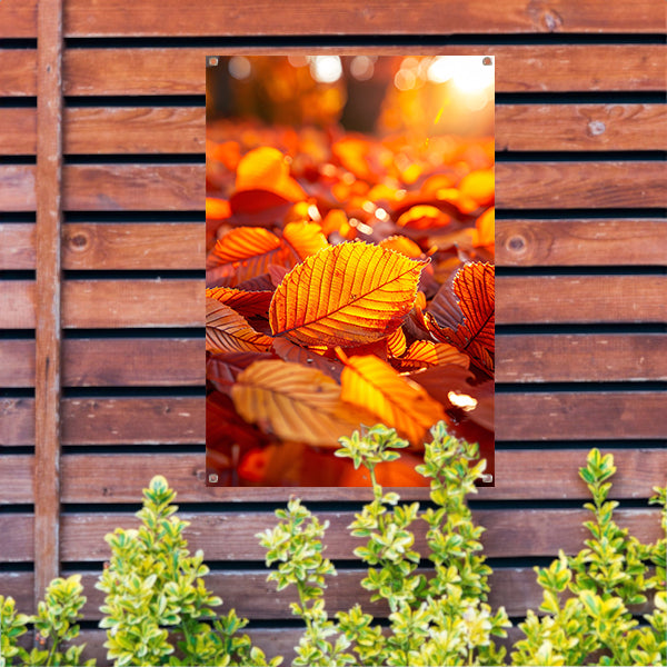 Herfstbladeren in Warm Zonlicht tuinposter