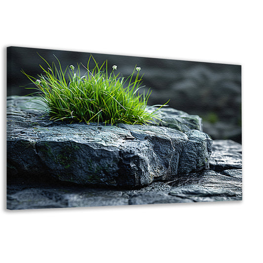 Minimalistisch Gras op Steen canvas