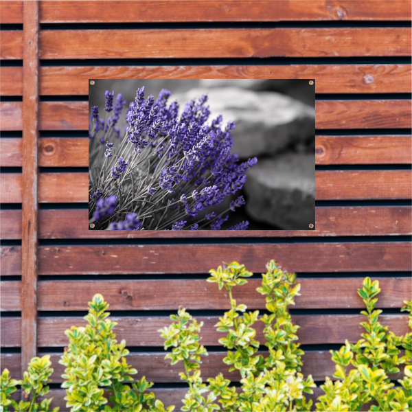 Abstracte paarse bloemen tuinposter