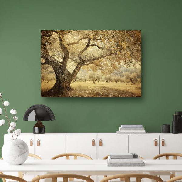 Olijfboom onder Provençaalse hemel poster