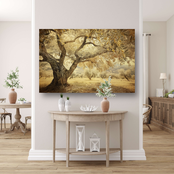 Olijfboom onder Provençaalse hemel poster