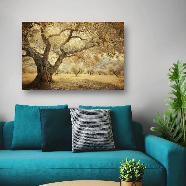Olijfboom onder Provençaalse hemel poster