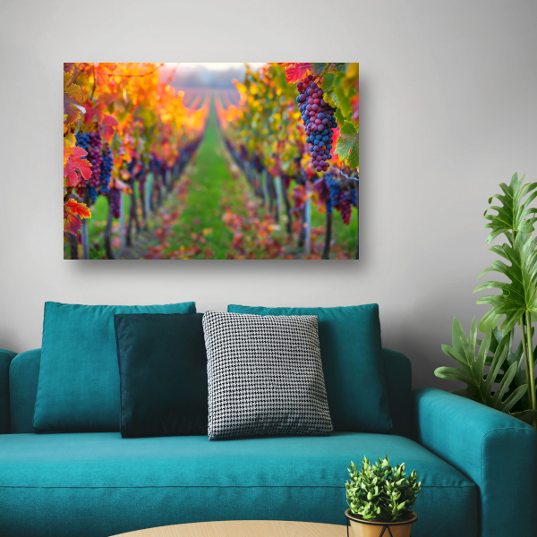 Herfstige wijngaard onder de avondzon canvas