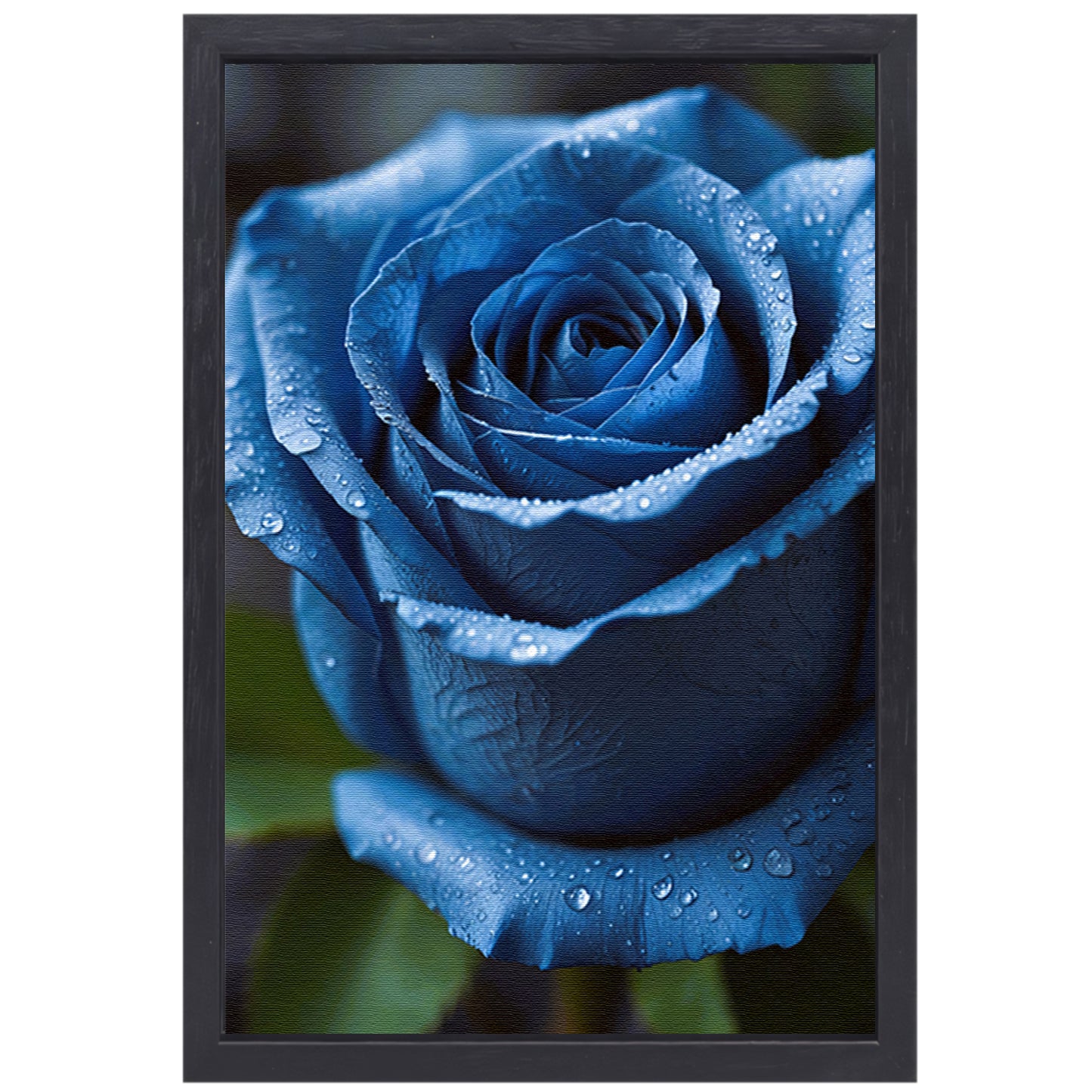 Blauwe roos bedauwd in ochtendlicht canvas met baklijst