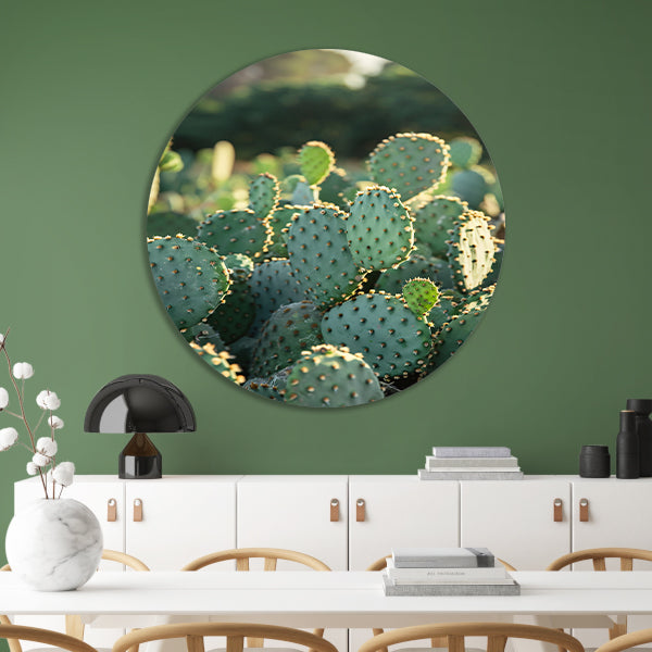 Close-up van cactus met stekels aluminium muurcirkel
