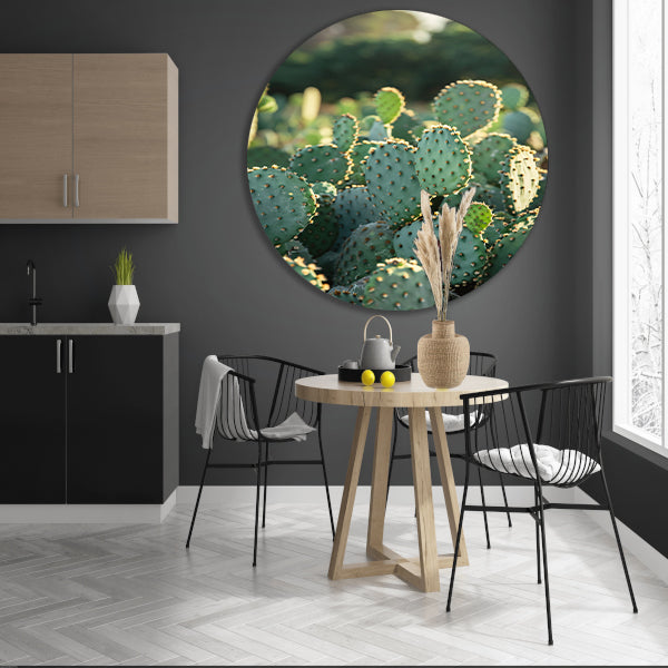 Close-up van cactus met stekels aluminium muurcirkel
