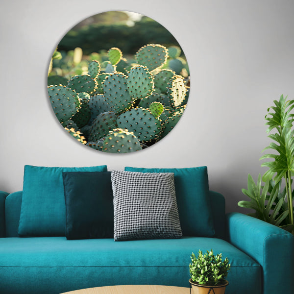 Close-up van cactus met stekels aluminium muurcirkel