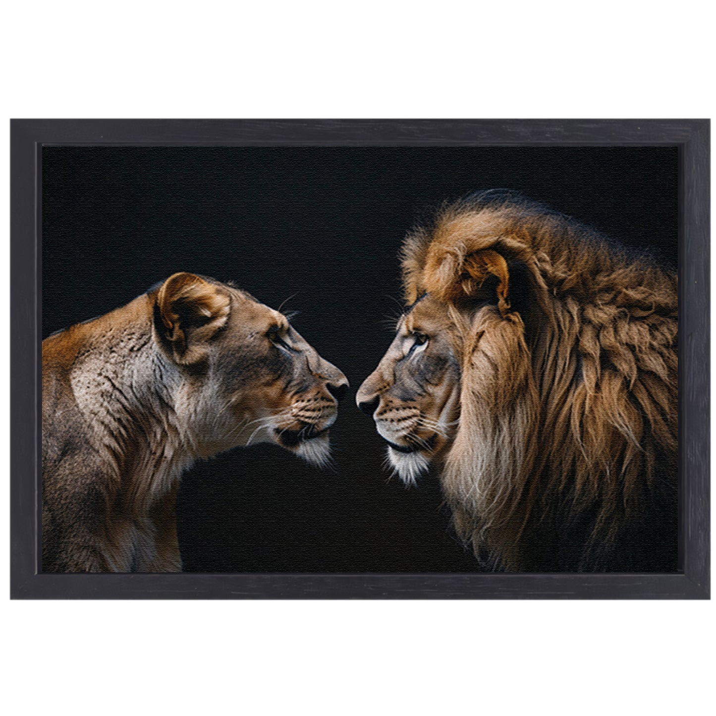 Leeuw en leeuwin in intense ontmoeting canvas met baklijst