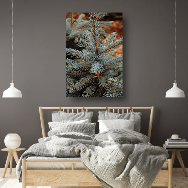 Close-up van blauwe spar in zonlicht canvas