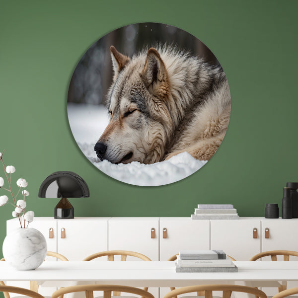 Slapende wolf in een besneeuwd landschap aluminium muurcirkel
