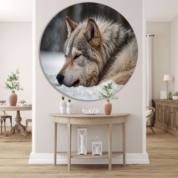 Slapende wolf in een besneeuwd landschap aluminium muurcirkel