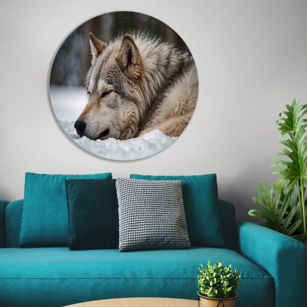 Slapende wolf in een besneeuwd landschap forex muurcirkel