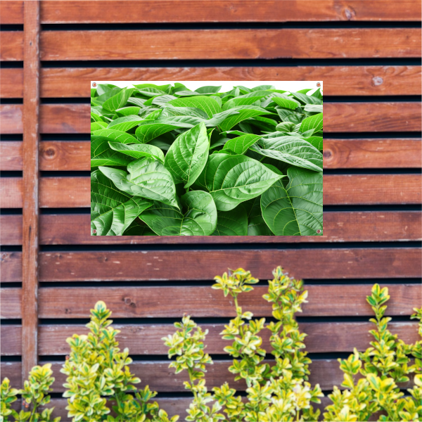 Bladergroen tuinposter