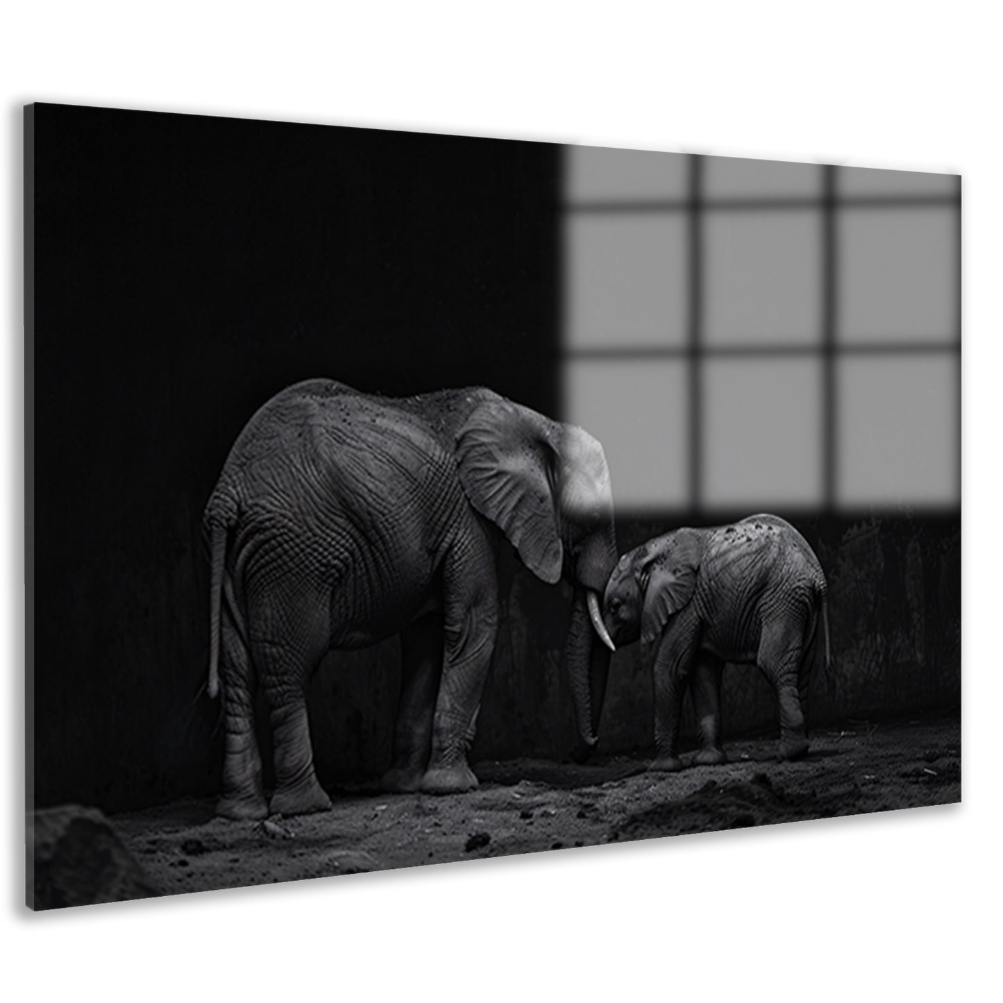 Zwart-wit olifanten moeder en kalf kunst acrylglas