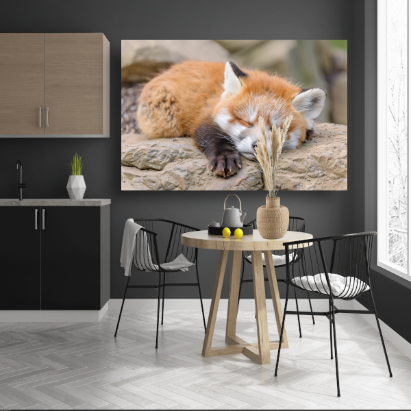 Ontspannende Rode Vos in Natuurlijke Habitat canvas