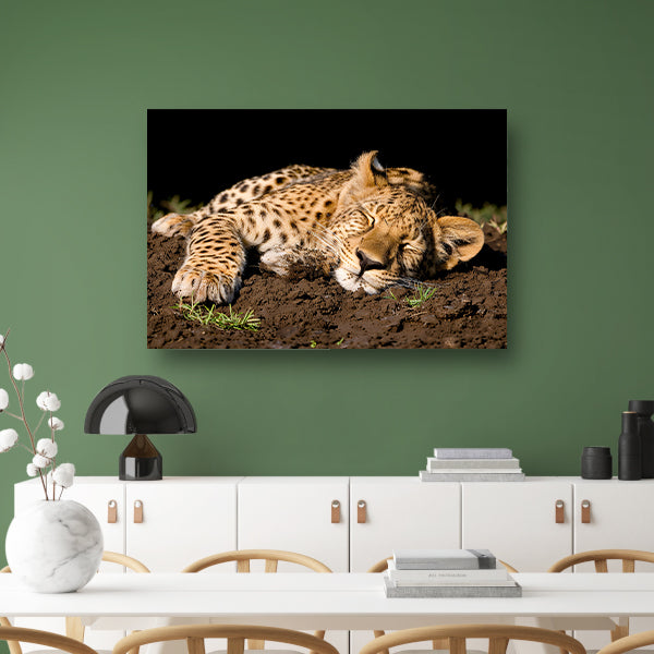 Luipaard slaapt vredig op aarde canvas