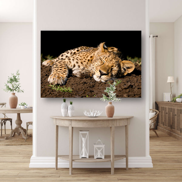 Luipaard slaapt vredig op aarde acrylglas