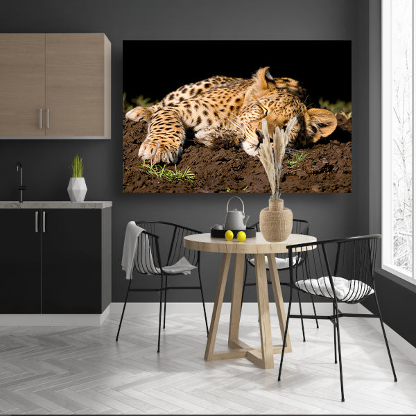 Luipaard slaapt vredig op aarde acrylglas