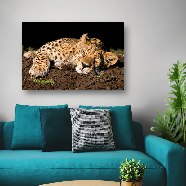 Luipaard slaapt vredig op aarde acrylglas
