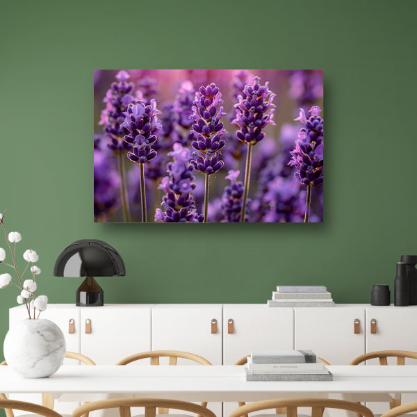 Close-up van lavendelbloemen in zachte zonneschijn canvas