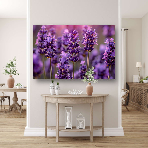 Close-up van lavendelbloemen in zachte zonneschijn canvas