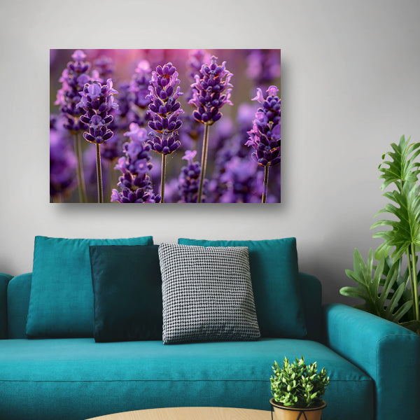 Close-up van lavendelbloemen in zachte zonneschijn canvas