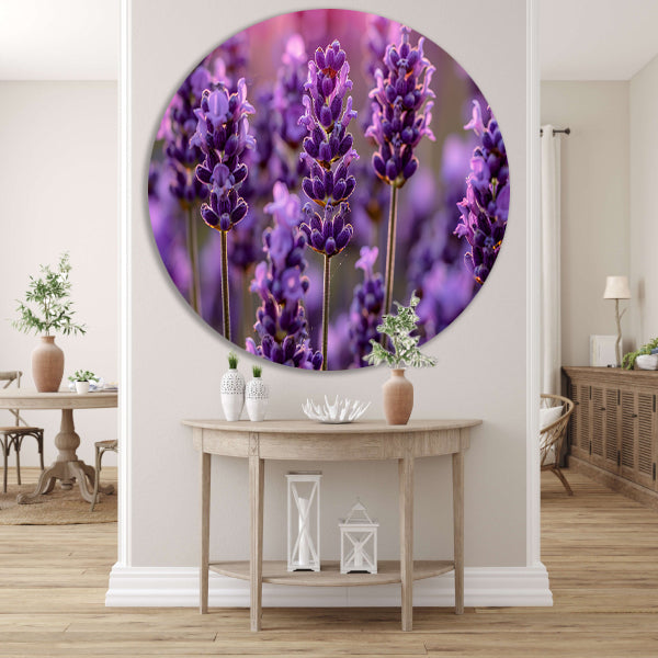 Close-up van lavendelbloemen in zachte zonneschijn forex muurcirkel